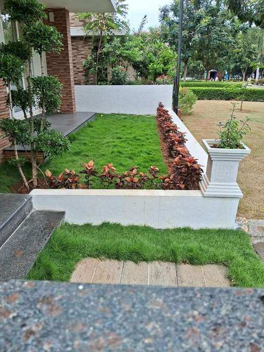 Vertical Green Living Wall Project 1